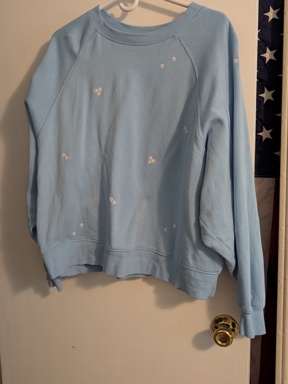 Light Blue Women's Embroidered Crewneck Sweater
